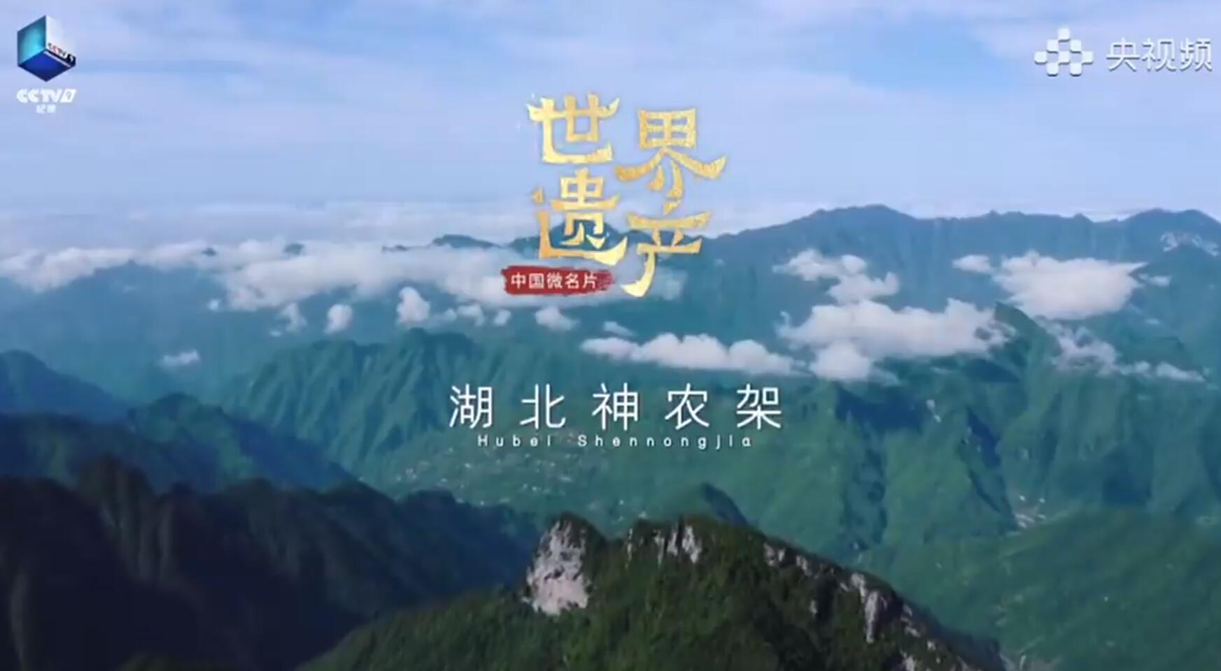 ���Ї�(gu��)΢��Ƭ�������z�a(ch��n)�������������r(n��ng)��