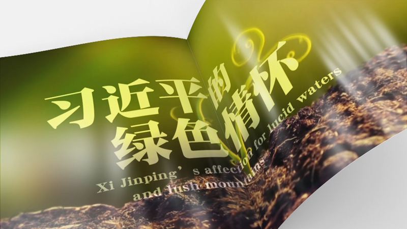 ȫ���B��(xi��n) | ��(x��)��ƽ�ľGɫ���